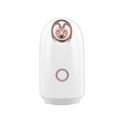 HexoSkin™ Face Steamer